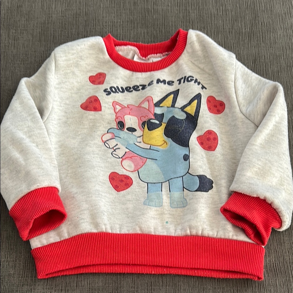 5/$20 Toddler Bluey Sweater 3T